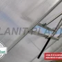 LANIT PLAST VITAVIA VENUS 3800 sklo 3 mm zelený #3